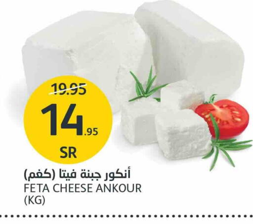 ANCHOR Feta  in AlJazera Shopping Center in KSA, Saudi Arabia, Saudi - Riyadh