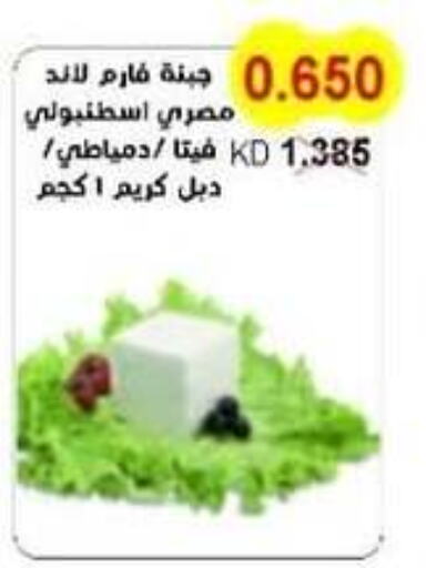  Feta  in Salwa Co-Operative Society  in Kuwait - Ahmadi Governorate