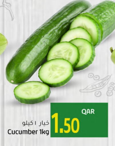  Cucumber  in Gulf Food Center in Qatar - Doha