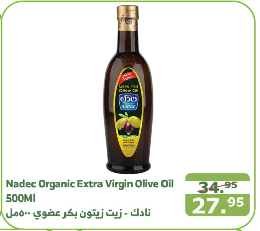 NADEC Virgin Olive Oil  in Al Raya in KSA, Saudi Arabia, Saudi - Bishah