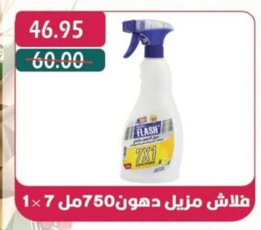  General Cleaner  in Bashayer hypermarket in Egypt - Cairo