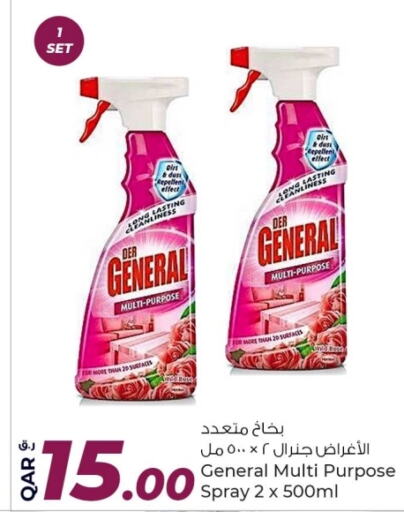  General Cleaner  in Rawabi Hypermarkets in Qatar - Al Khor