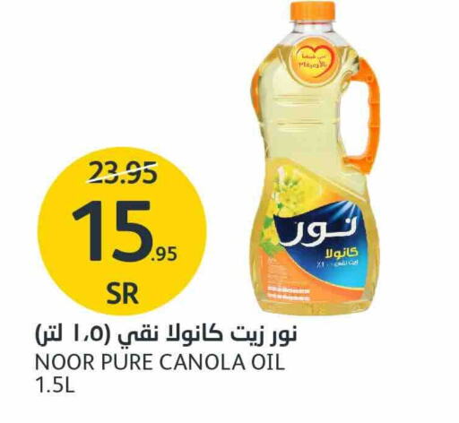 NOOR Canola Oil  in AlJazera Shopping Center in KSA, Saudi Arabia, Saudi - Riyadh