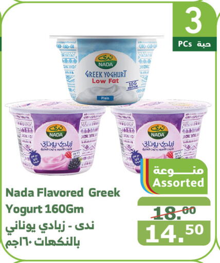 NADA Greek Yoghurt  in Al Raya in KSA, Saudi Arabia, Saudi - Khamis Mushait