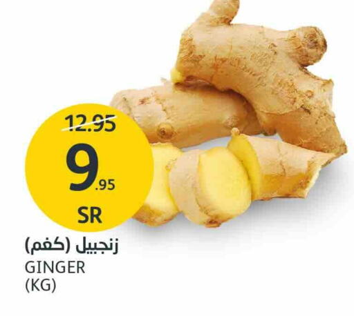  Ginger  in AlJazera Shopping Center in KSA, Saudi Arabia, Saudi - Riyadh