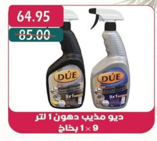  General Cleaner  in Bashayer hypermarket in Egypt - Cairo