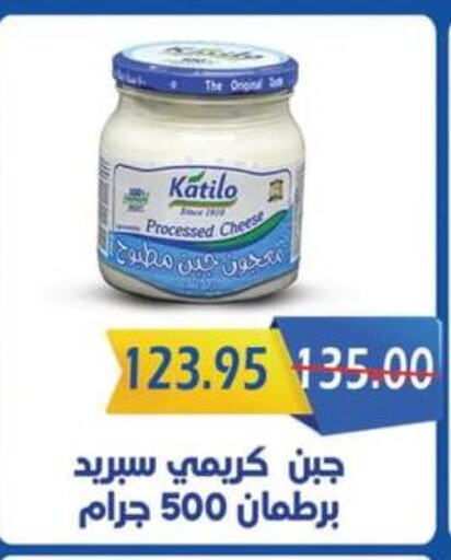 KATILO   in Bashayer hypermarket in Egypt - Cairo