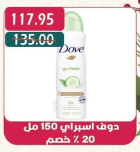 DOVE   in Bashayer hypermarket in Egypt - Cairo