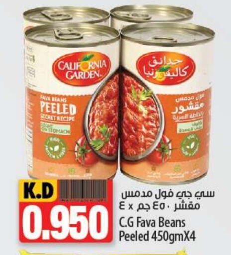 CALIFORNIA GARDEN Fava Beans  in Mango Hypermarket  in Kuwait - Kuwait City