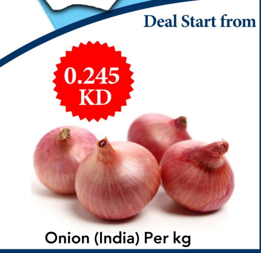  Onion  in Century Bazaar in Kuwait - Ahmadi Governorate