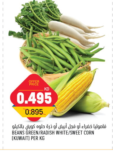  Beans  in Oncost in Kuwait - Ahmadi Governorate