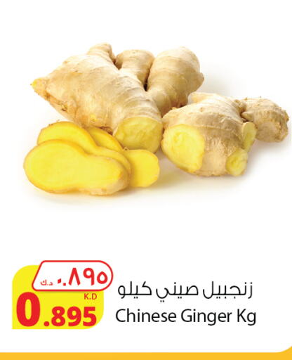  Ginger  in Agricultural Food Products Co. in Kuwait - Ahmadi Governorate