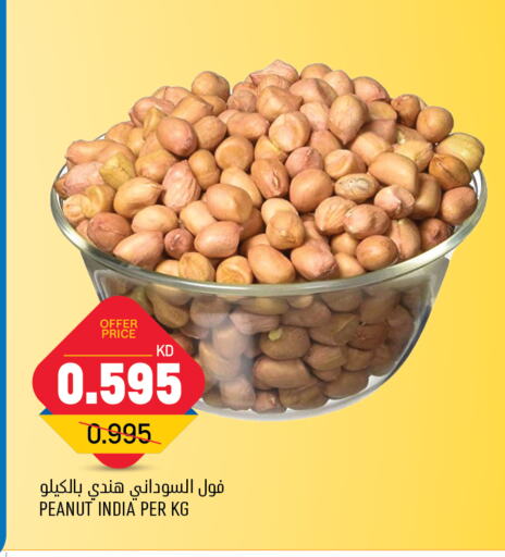  Beans  in Oncost in Kuwait - Ahmadi Governorate