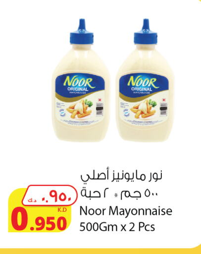 NOOR Mayonnaise  in Agricultural Food Products Co. in Kuwait - Ahmadi Governorate