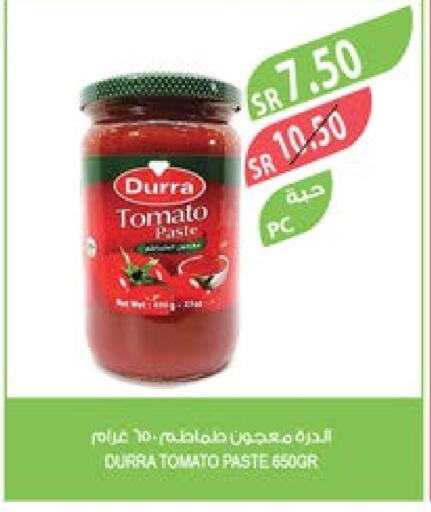 DURRA Tomato Paste  in Farm  in KSA, Saudi Arabia, Saudi - Dammam