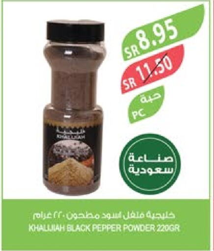  Spices  in Farm  in KSA, Saudi Arabia, Saudi - Tabuk