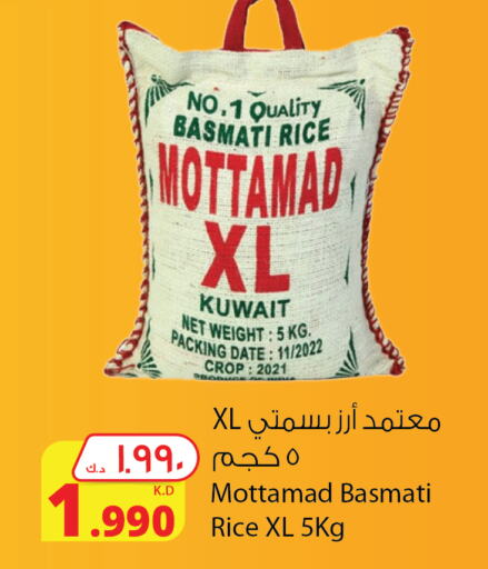  Basmati / Biryani Rice  in Agricultural Food Products Co. in Kuwait - Ahmadi Governorate