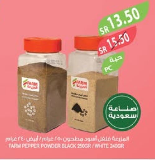  Spices  in Farm  in KSA, Saudi Arabia, Saudi - Tabuk