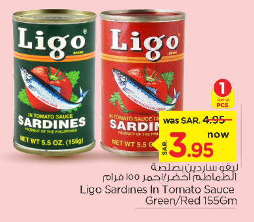  Sardines - Canned  in Nesto in KSA, Saudi Arabia, Saudi - Al Majmaah