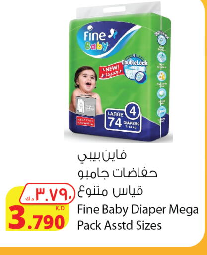 FINE BABY   in Agricultural Food Products Co. in Kuwait - Ahmadi Governorate