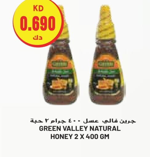  Honey  in Grand Costo in Kuwait - Kuwait City