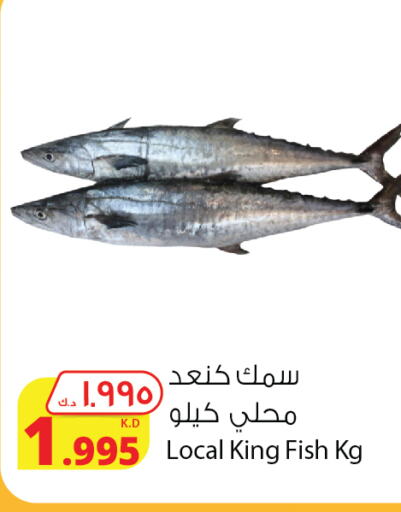  King Fish  in Agricultural Food Products Co. in Kuwait - Ahmadi Governorate