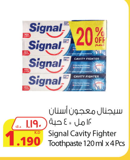 SIGNAL Toothpaste  in Agricultural Food Products Co. in Kuwait - Kuwait City