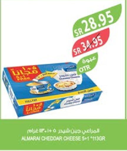 ALMARAI Cheddar Cheese  in Farm  in KSA, Saudi Arabia, Saudi - Riyadh