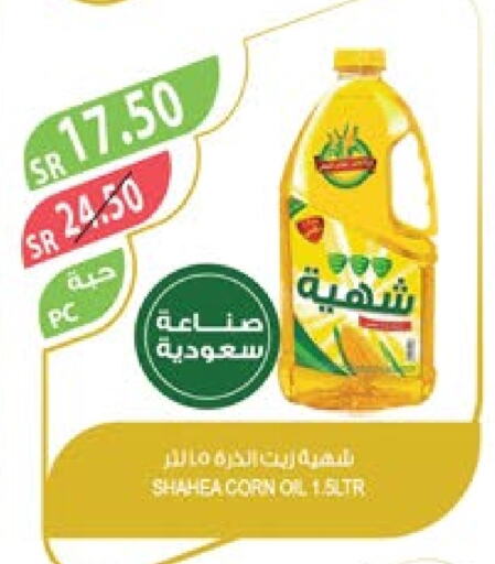  Corn Oil  in Farm  in KSA, Saudi Arabia, Saudi - Tabuk