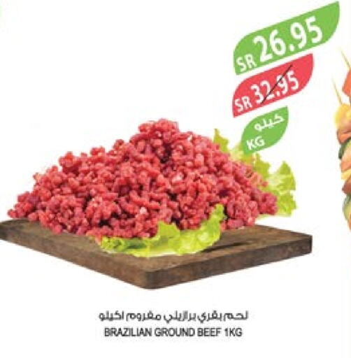  Beef  in Farm  in KSA, Saudi Arabia, Saudi - Al-Kharj