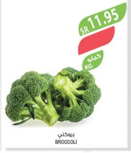  Broccoli  in Farm  in KSA, Saudi Arabia, Saudi - Qatif