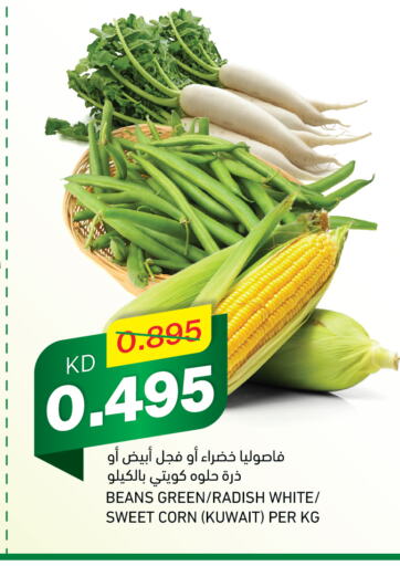  Beans  in Gulfmart in Kuwait - Ahmadi Governorate