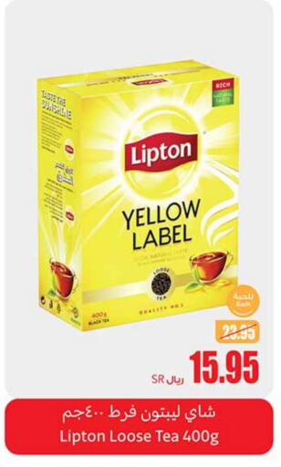 Lipton