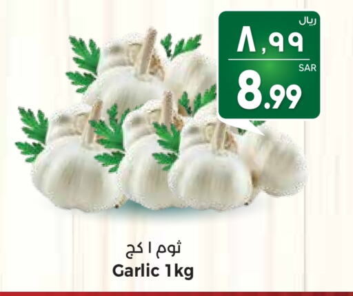  Garlic  in City Flower in KSA, Saudi Arabia, Saudi - Jubail