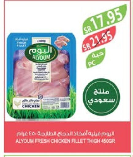  Chicken Thigh  in Farm  in KSA, Saudi Arabia, Saudi - Arar