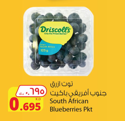  Berries  in شركة المنتجات الزراعية الغذائية in الكويت - مدينة الكويت