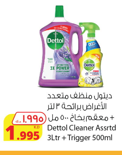 DETTOL General Cleaner  in Agricultural Food Products Co. in Kuwait - Kuwait City