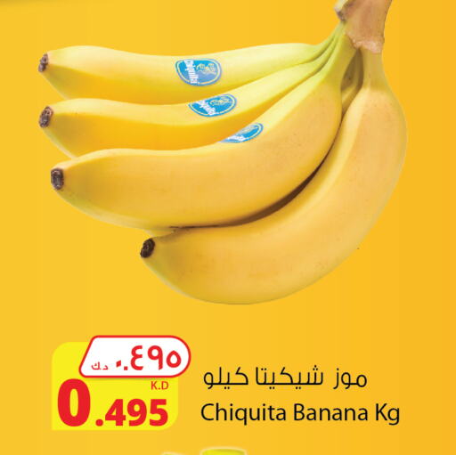  Banana  in Agricultural Food Products Co. in Kuwait - Ahmadi Governorate