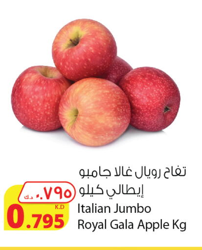  Apples  in Agricultural Food Products Co. in Kuwait - Kuwait City