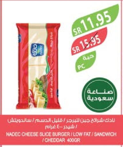 NADEC Slice Cheese  in Farm  in KSA, Saudi Arabia, Saudi - Riyadh