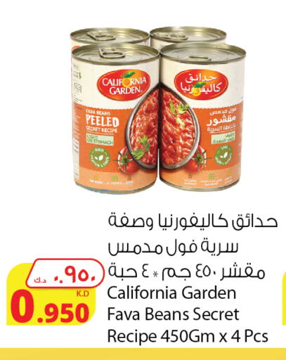 CALIFORNIA GARDEN Fava Beans  in Agricultural Food Products Co. in Kuwait - Kuwait City