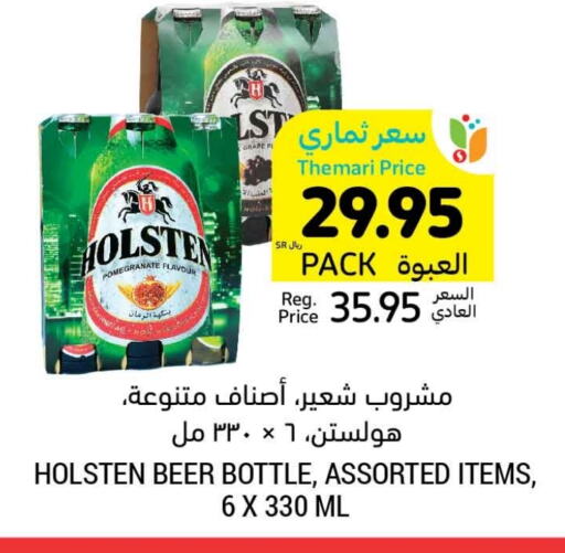 HOLSTEN