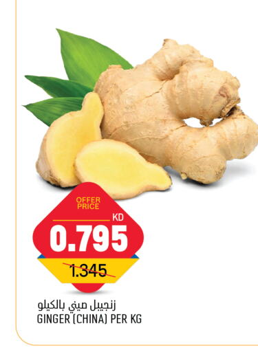  Ginger  in Oncost in Kuwait - Ahmadi Governorate