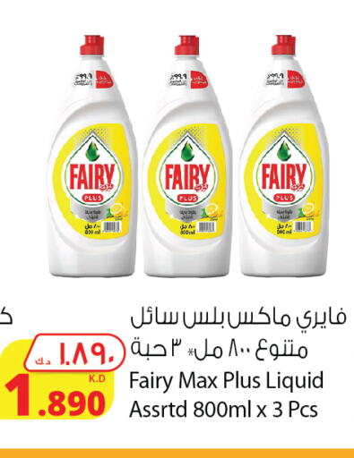 FAIRY   in Agricultural Food Products Co. in Kuwait - Ahmadi Governorate