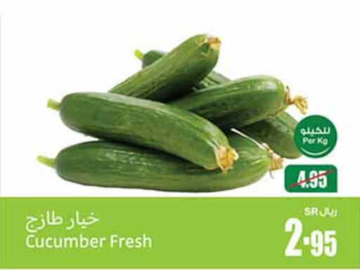  Cucumber  in Othaim Markets in KSA, Saudi Arabia, Saudi - Tabuk