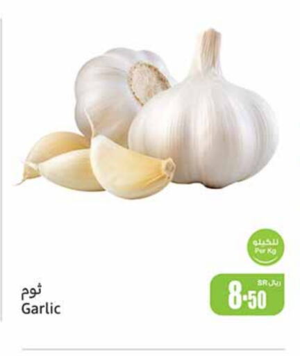  Garlic  in Othaim Markets in KSA, Saudi Arabia, Saudi - Tabuk