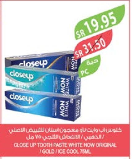 CLOSE UP Toothpaste  in Farm  in KSA, Saudi Arabia, Saudi - Jeddah