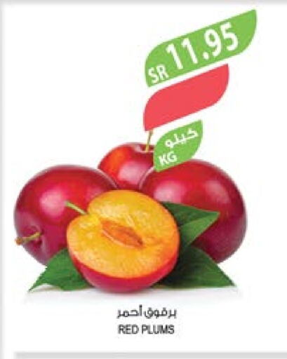  Peach  in Farm  in KSA, Saudi Arabia, Saudi - Al-Kharj