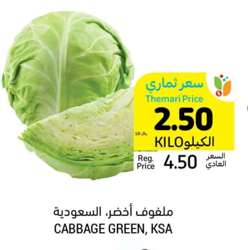  Cabbage  in Tamimi Market in KSA, Saudi Arabia, Saudi - Tabuk