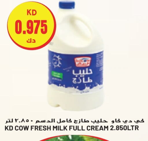 KD COW Full Cream Milk  in Grand Costo in Kuwait - Ahmadi Governorate